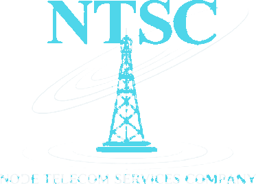 NTSC — Node Telecom Services Company